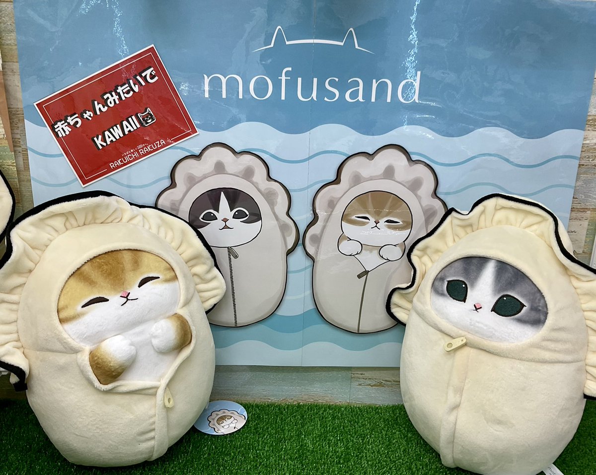 mofusandカキにゃんBIGぬいぐるみが入荷致しました✨🐱✨ カキに包まれ