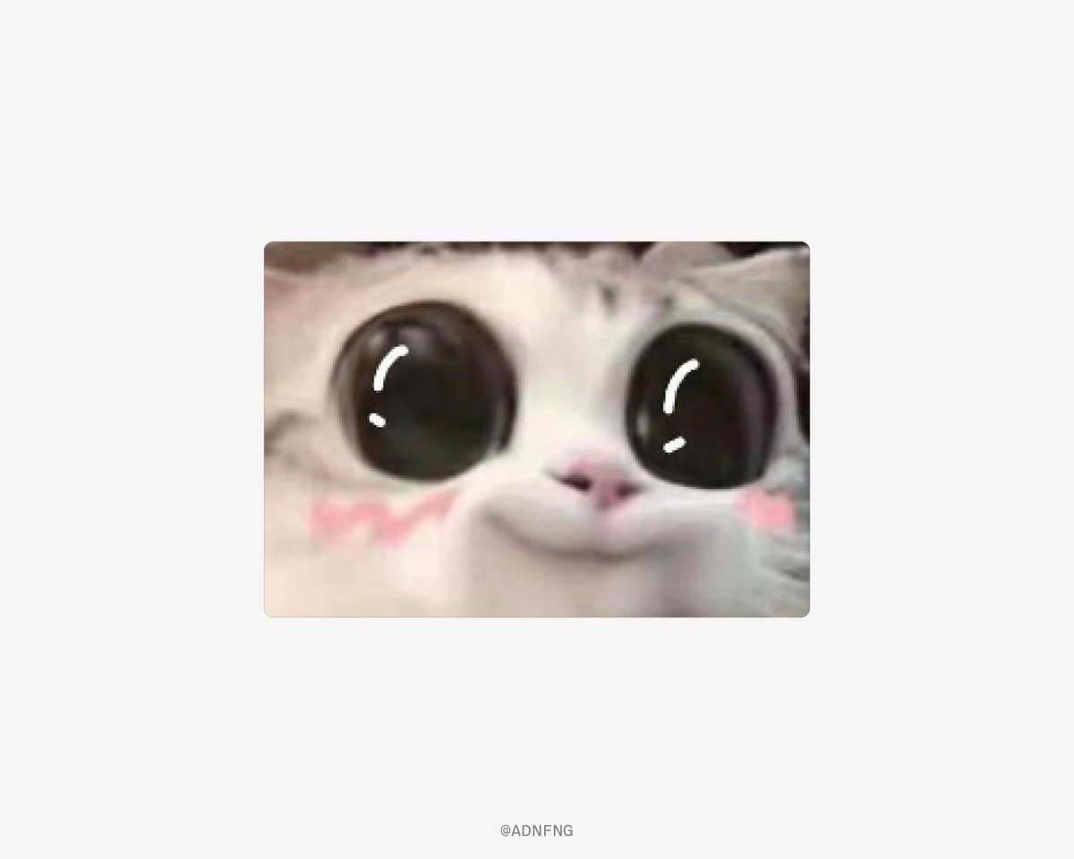 ADNFNG's tweet image. [8]
visit your domain and check things out.

that&apos;s it, you&apos;re done.

final message: don&apos;t abuse this. framer is incredible and if you can afford it, pay for it. but if not, you do you, i&apos;m not your mum