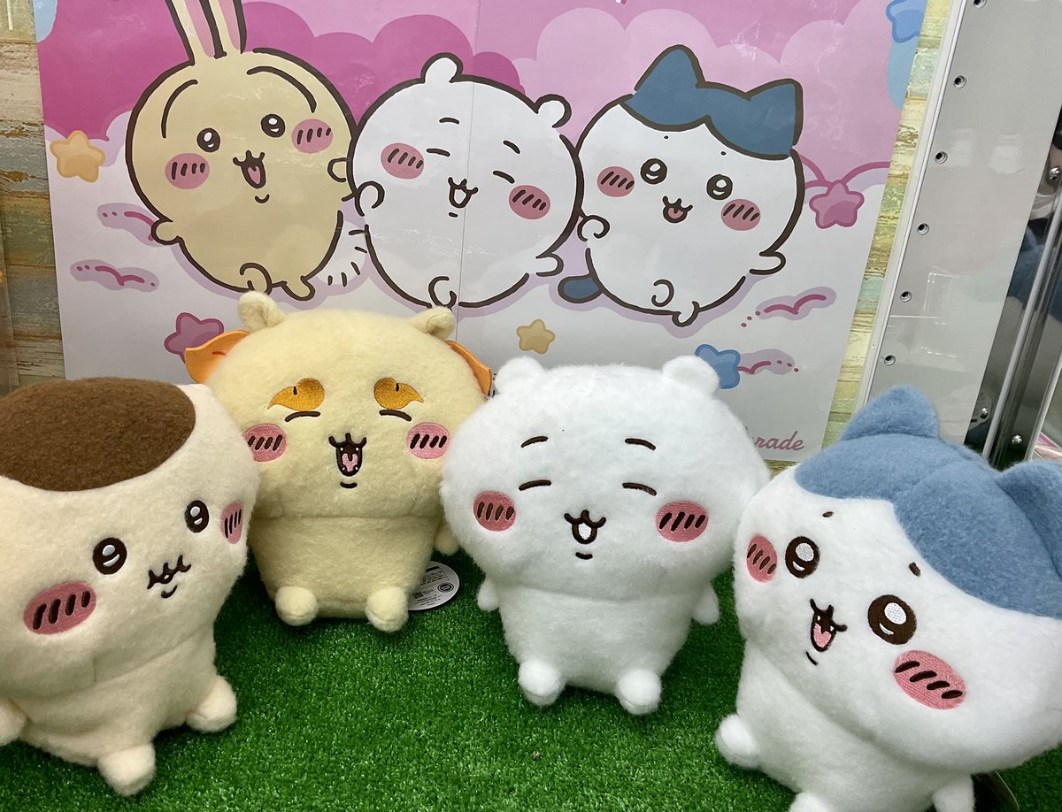 牛頭丸　キジ白とハチワレ 牛頭丸 キジ白とハチワレ 牛頭丸様 専用 キジ白とハチワレ