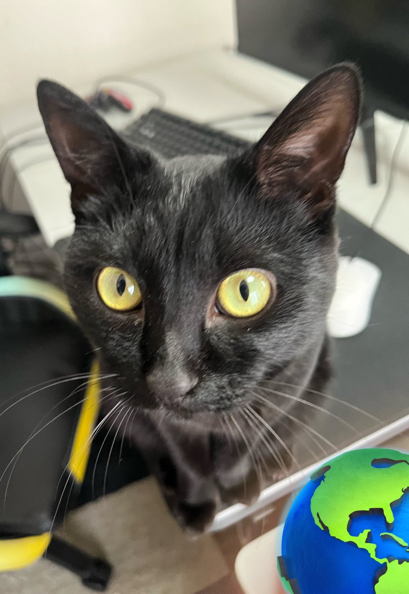 きりお（KIRIO） (@kirio848) / Posts / X