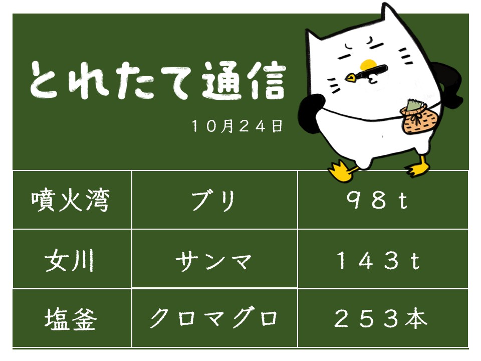 おさかなさんページ おさかナビ【公式】 on X