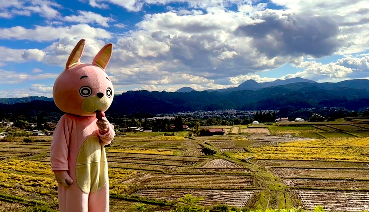 うさひ 桃色ウサヒ on X