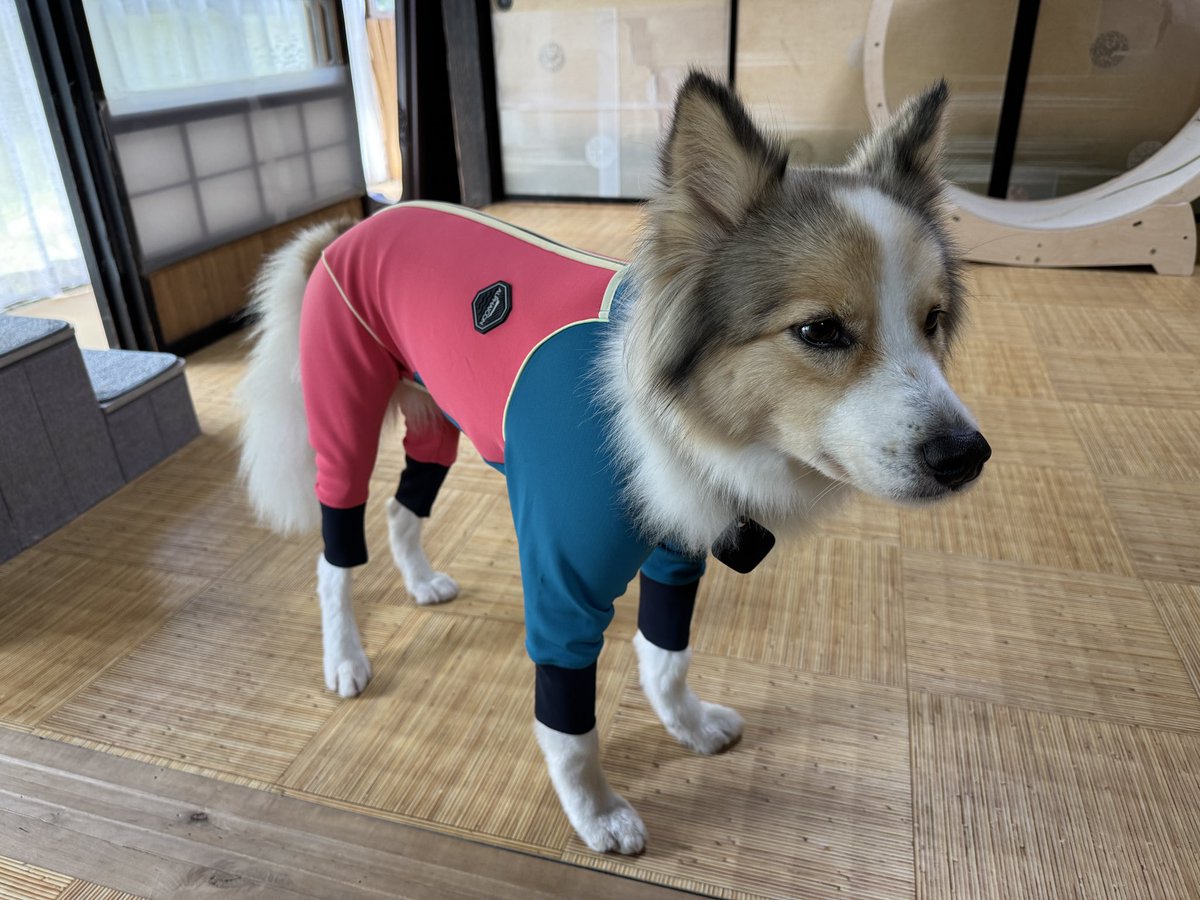 ウェアがやっと手に入りました。 今回はサイズもバッチリ👍 色合いも