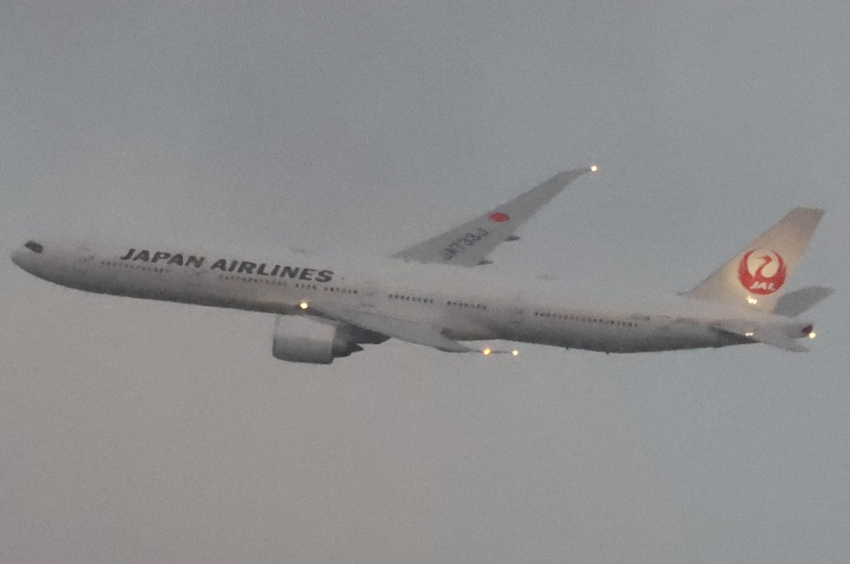 呼び捨て希望）ブタ (@norakini) / Posts / X