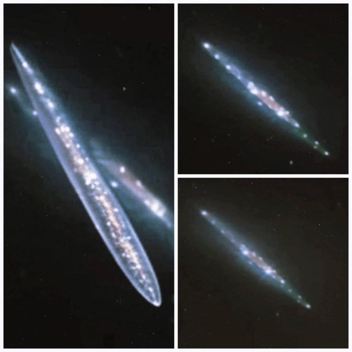 Proyecto #BlueBeam activado