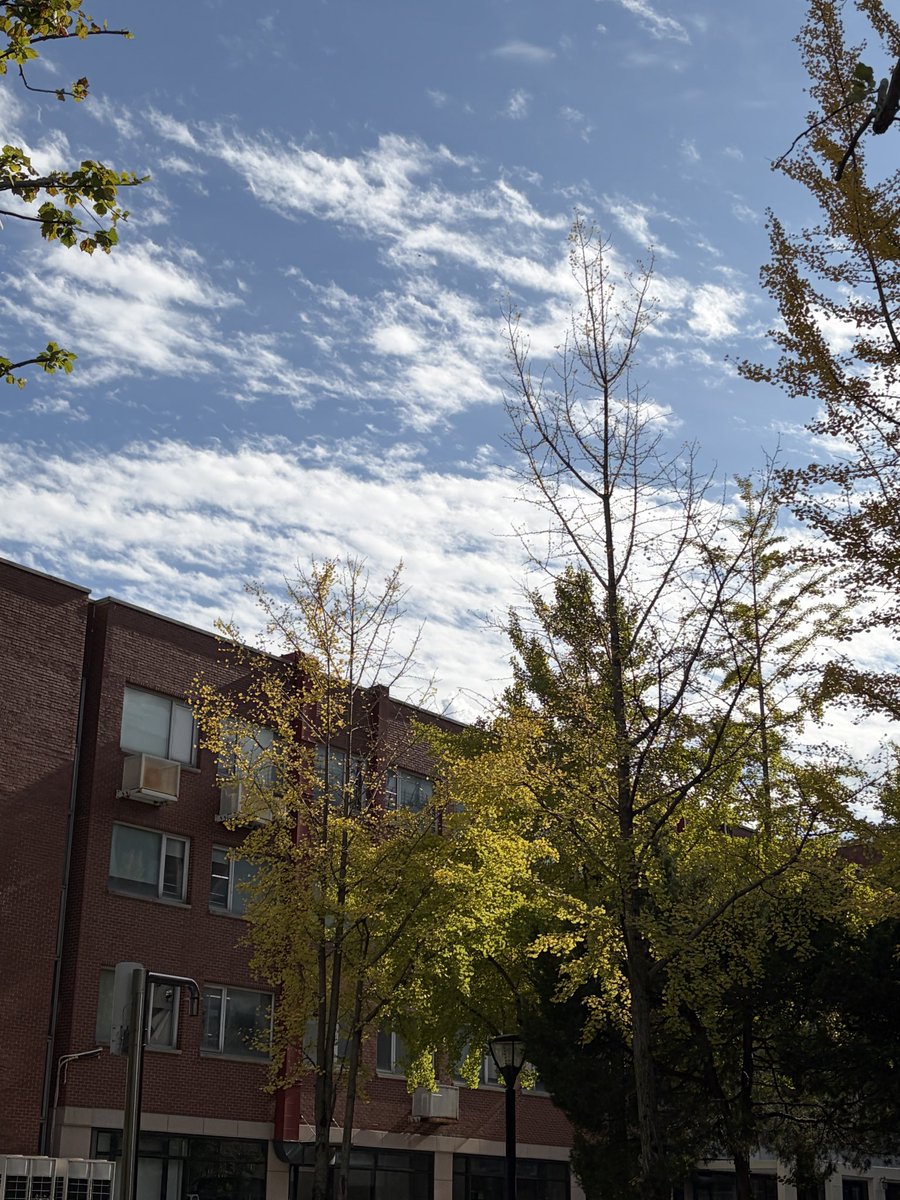 하고 싶다가도 안하고 싶은 졸업