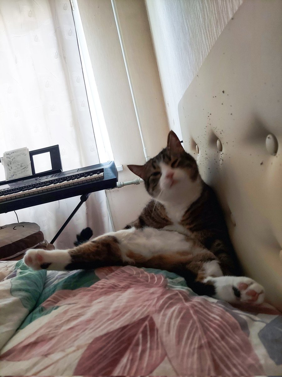 Alexander Kocur tweet media