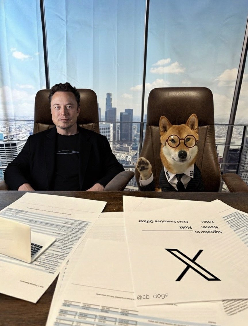 一直很看好 $flōki 

始于<a href="/heyibinance/">Yi He</a> 一姐的一则转帖

而更深层原因是在于希望在<a href="/BNBCHAIN/">BNB Chain</a> 上看到更国际化的叙事

这是Bsc上第一个马斯克叙事<a href="/elonmusk/">Elon Musk</a> 

flōki 源自于北欧传说中的维京探险家 Hrafna-Flóki Vilgerðarson

文字记载/Sagas里的Flóki是有目的的去寻找冰岛的，因为在他之前有个叫Garðar