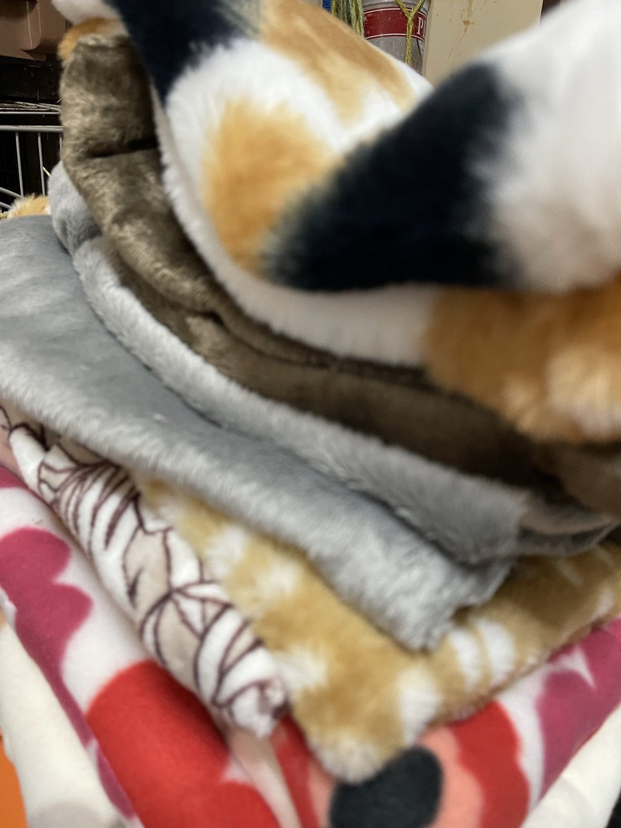 Oxql5c0's tweet image. 暖かホリホリマット
完成です♪
お紐付きなので、ケージに結んで使えますよ🐰🐹

潜ったり、くるくる遊んだり出来ます
ラビネスフェスタに持っていきます
#ラビネスフェスタ