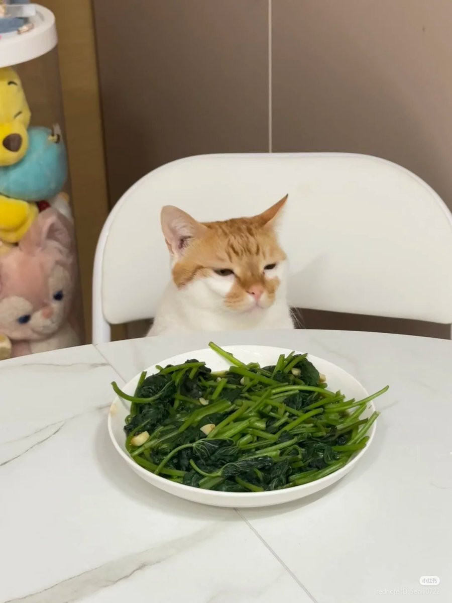 He hates veggies