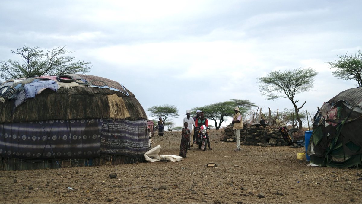 GridlessCompute's tweet image. In northern Kenya talking to multiple communities with no electricity. 

Determining if there is a viable solution for a 12 volt solar+wind hybrid model in these (very) remote locations that have amazing sun and some of the best and most consistent wind in Africa.