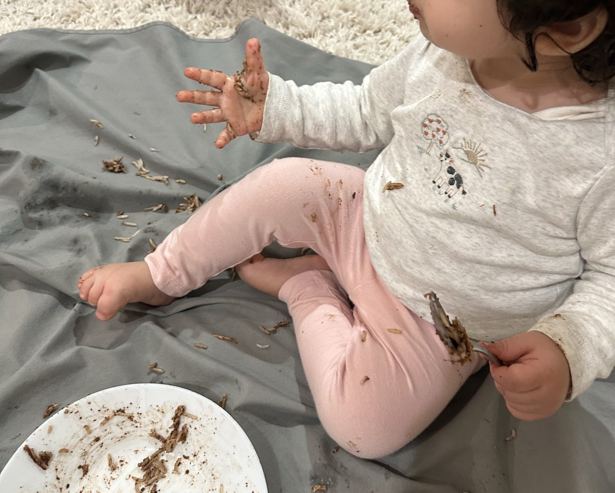 یکی امشب عاشق فسنجون شد و رفت!