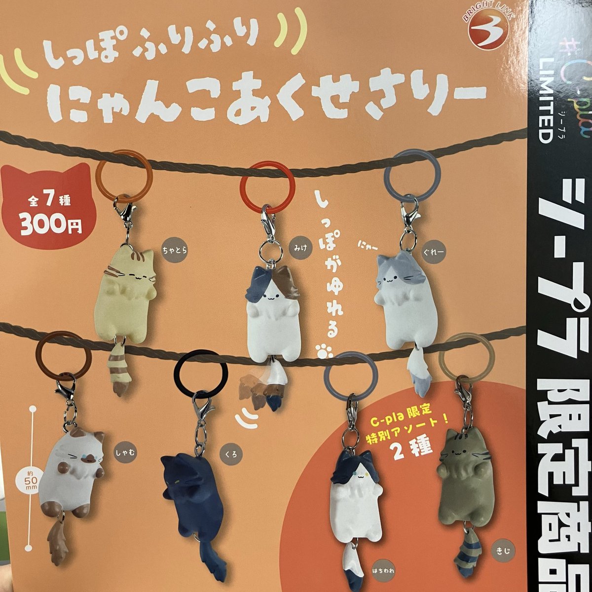 C-pla 名古屋矢場町店【公式】 on X