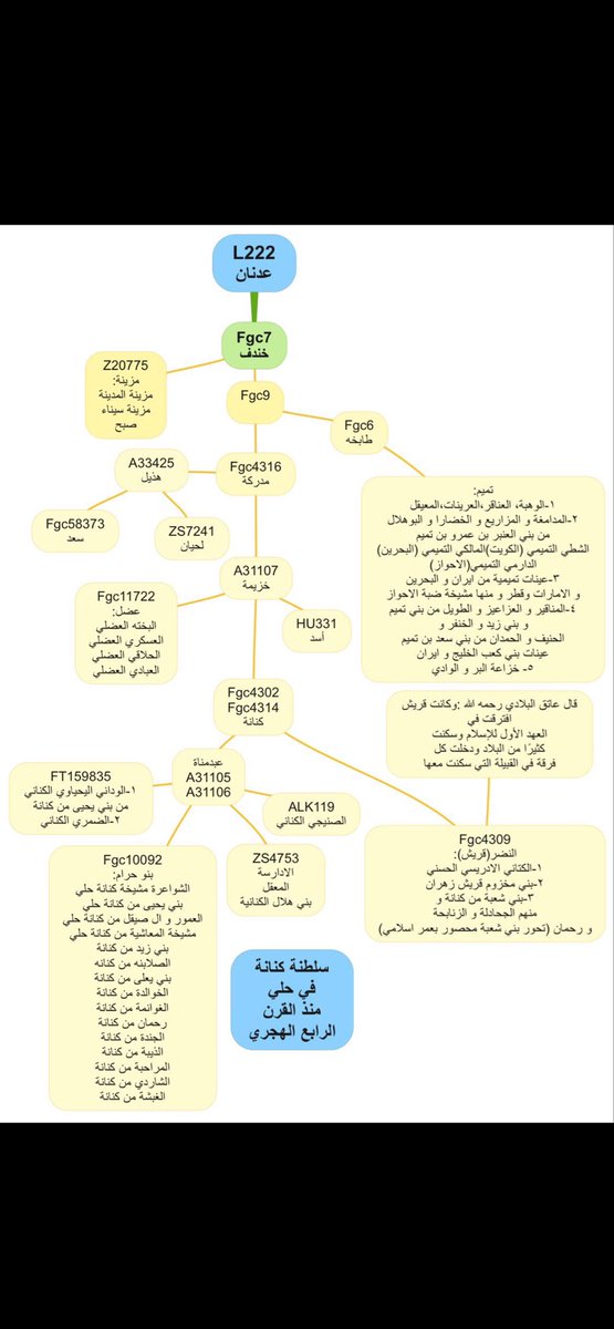 كنانه هذيل عضل اسد خزاعه تميم مزينه ليست اشجارا تغرسها بكلمه وتسقيها بالسرد والهذر ،،لم
يكن هذا الفعل  ليحقق شيئا قبل الجينات فما بالك بعد الجينات وبعد ظهور تكتلاتها وتحقيقها للهيكلة التاريخية الفريدة تحت fgc7 ، وماذا لو استند من يناوئهم على قوة موروث او ارض او اي قرينة اخرى