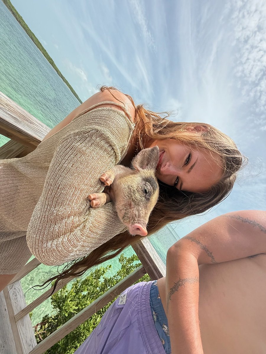 krownpeach's tweet photo. bby piggies🥹 https://t.co/mKLVbsmSrf