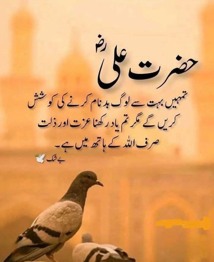 AsghMuhammad's tweet image. 