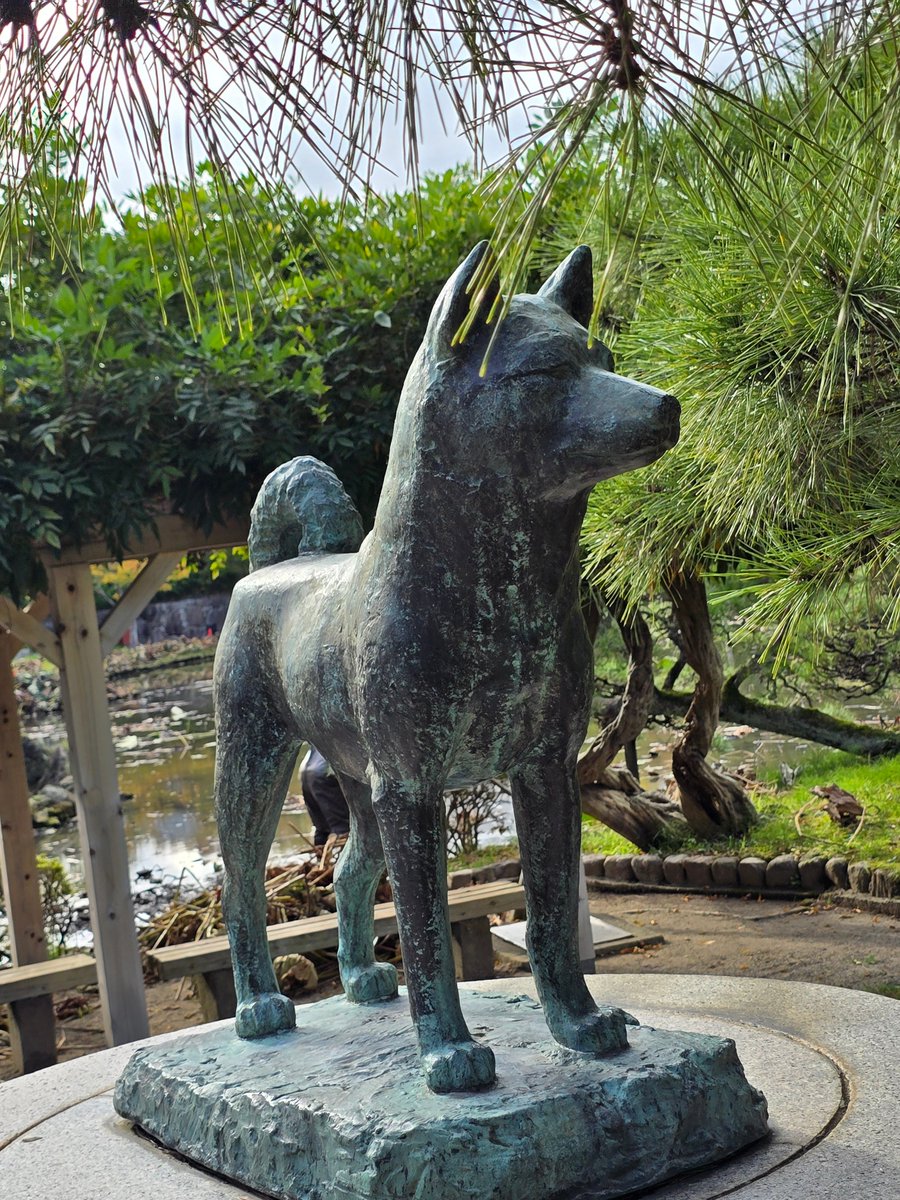 髙木 とうちゅう on X