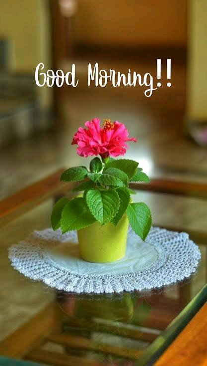 ❁KOOCHAN❁❁ DAVE🙂 on X