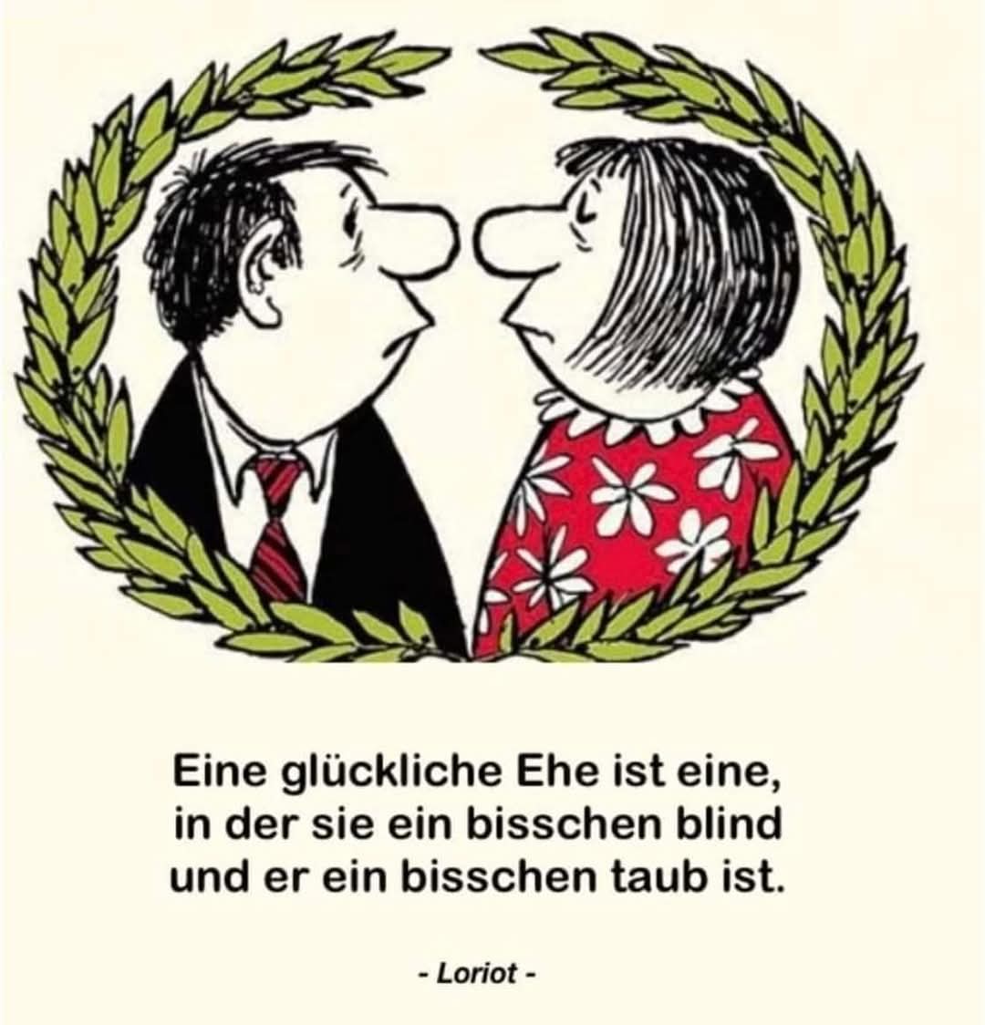 Gini H. tweet media