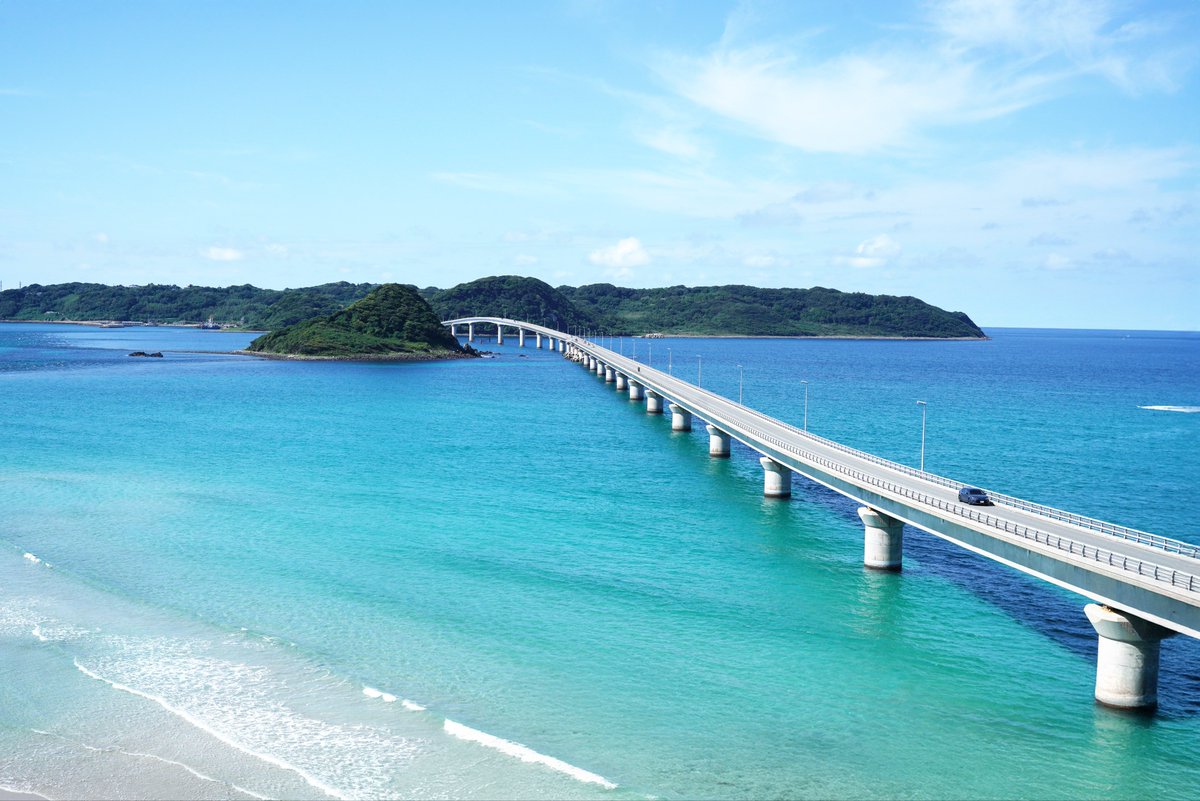 さかな　光線　SAKANA LE RAYON 廃盤 帯付き CD さかな 光線 SAKANA LE RAYON - メルカリ