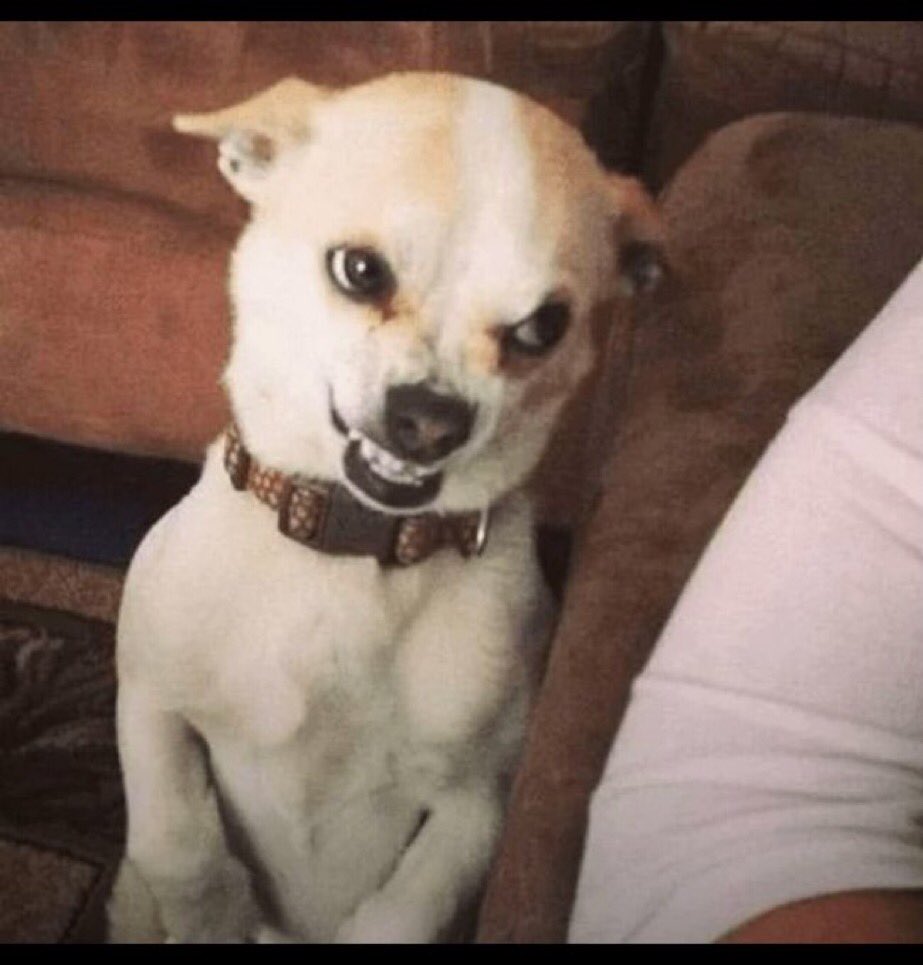 felixsvi tweet media