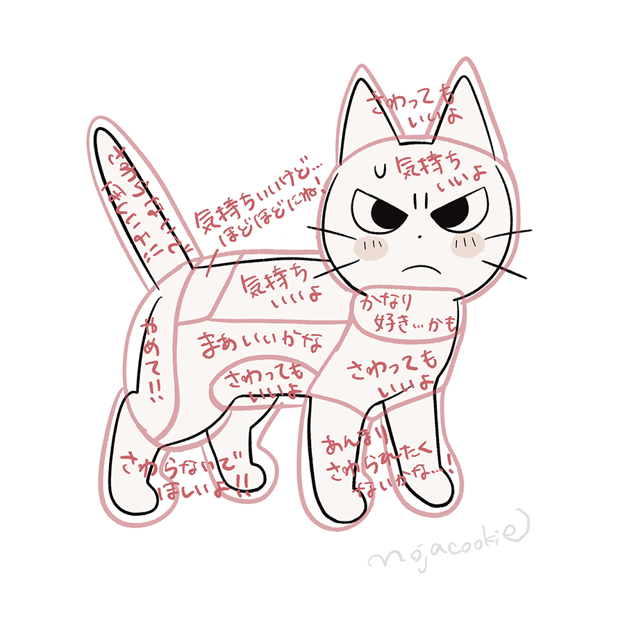 mojacookie's tweet image.