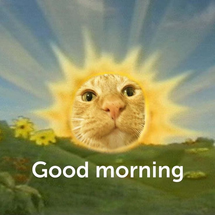 nikhil_py's tweet image. gm everyone!!
today we doing...
- linear algebra
- HOML
- kaggle comp
let's see where i go today!
