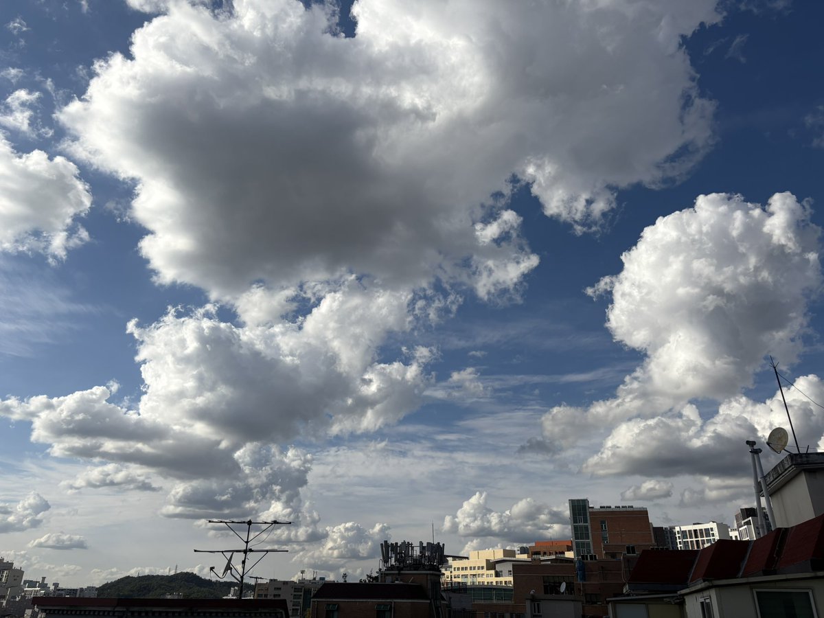 오늘 하늘 맛있게 생겼다