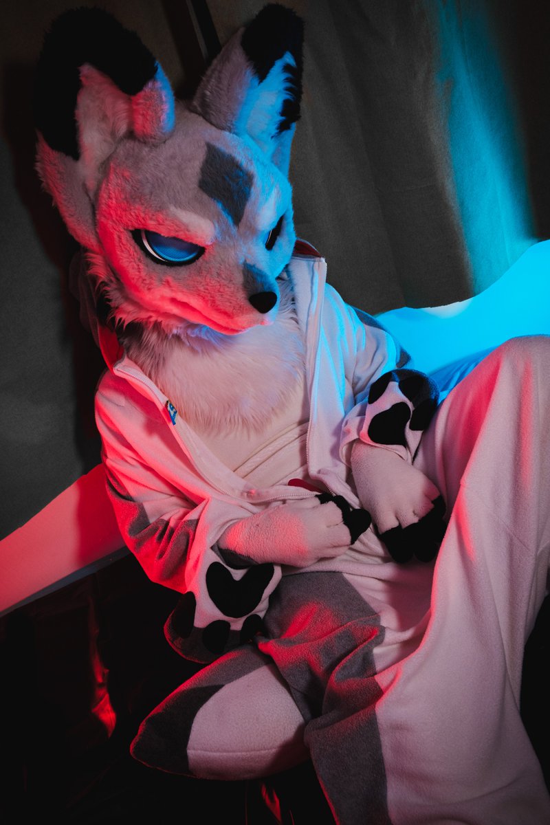 Fluff 🆚 💤 

加碼 -w-

📷:<a href="/racoonwolf/">Rac'n 🐾 INFURNITY</a> / <a href="/DD_Woof/">🐾ㄉㄉ🔜 💤</a>