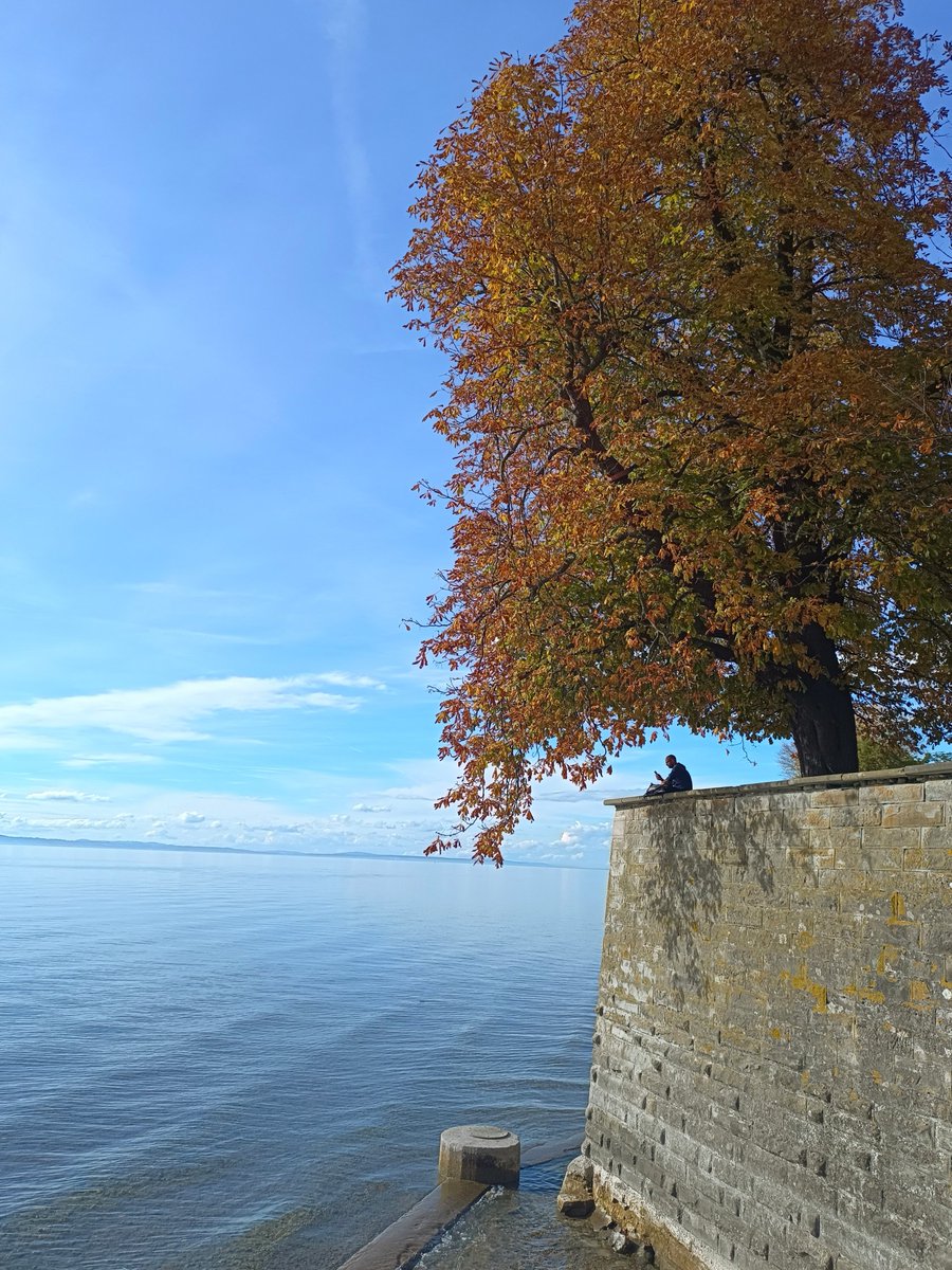 Guten Morgen vom Bodensee ☕🍂
#Morgengruß