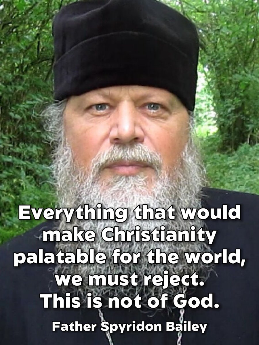Everything that would make Christianity palatable for the world, we must reject. This is not of God.

— Father Spyridon Bailey