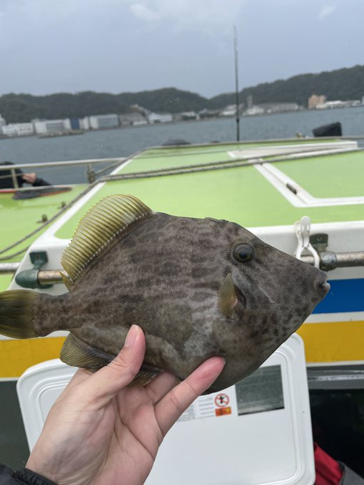 今日は数も大きさも絶好釣だったぜー! 
