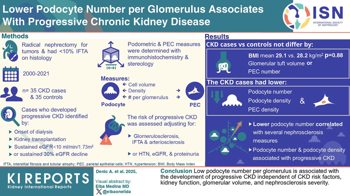 Int Society of Nephrology tweet media