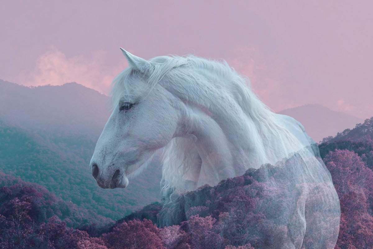 LudovicCreator's tweet image. 🎨 SURREAL DREAMSCAPE COLLAGE 🎨

Prompt  :

[SUBJECT] embedded within a Surreal Dreamscape Collage, combining unexpected elements and landscapes. Use contrasting hues of [COLOR1] and [COLOR2] to highlight the dreamlike atmosphere.

Check ALTS