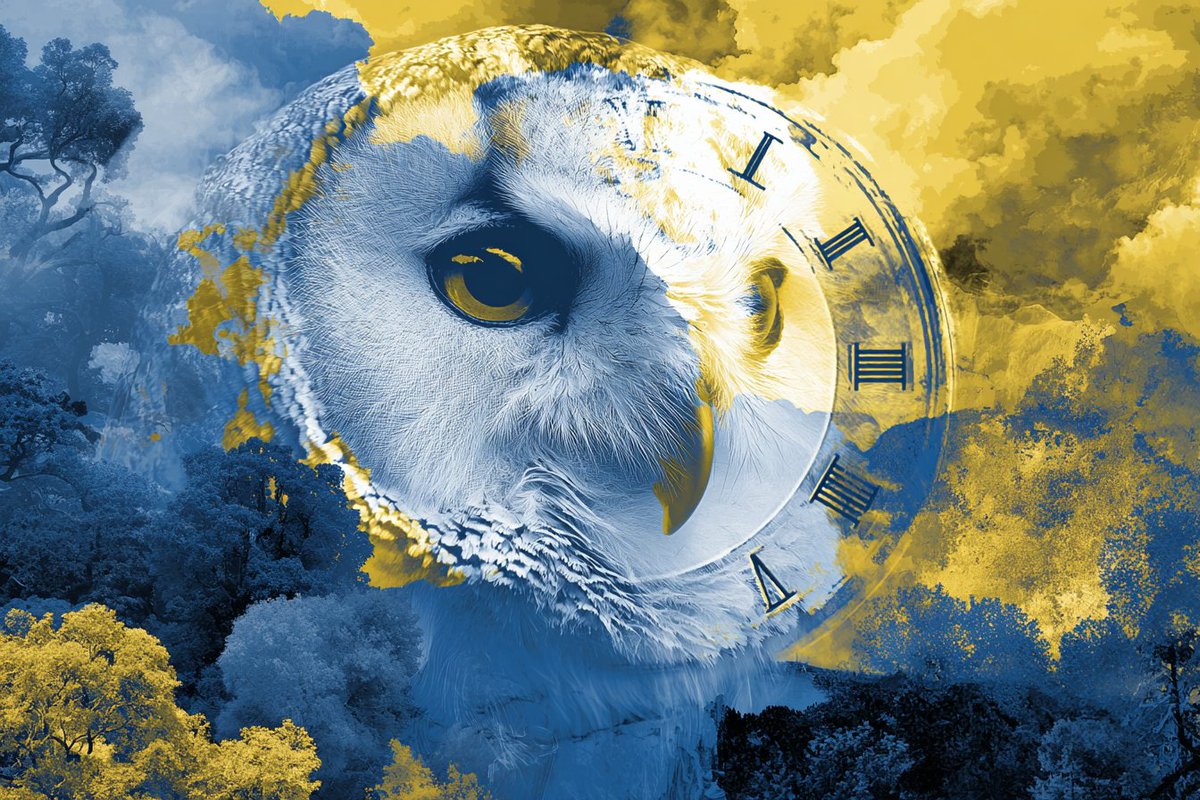 LudovicCreator's tweet image. 🎨 SURREAL DREAMSCAPE COLLAGE 🎨

Prompt  :

[SUBJECT] embedded within a Surreal Dreamscape Collage, combining unexpected elements and landscapes. Use contrasting hues of [COLOR1] and [COLOR2] to highlight the dreamlike atmosphere.

Check ALTS