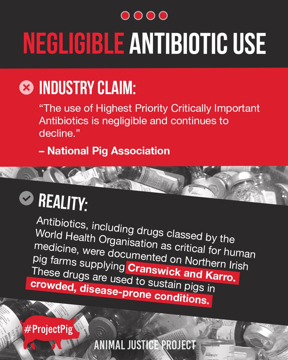 ajpReact's tweet image. Farmers Weekly gave industry groups space to dismiss our investigation into antibiotic use in UK pig farming. They called the findings “too small to matter” and claimed resistance is “natural” and antibiotic use “negligible.”
Freedom of Information data tells a different story.…