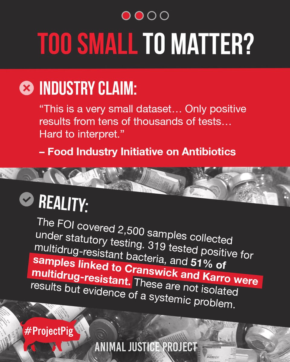 ajpReact's tweet image. Farmers Weekly gave industry groups space to dismiss our investigation into antibiotic use in UK pig farming. They called the findings “too small to matter” and claimed resistance is “natural” and antibiotic use “negligible.”
Freedom of Information data tells a different story.…