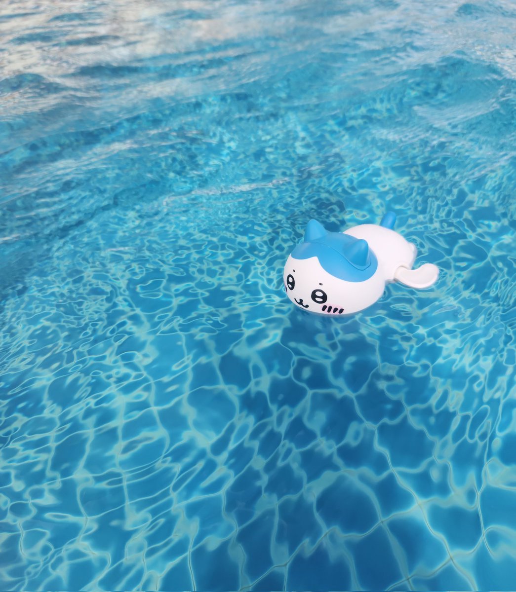 냐옹(にゃおん) tweet media