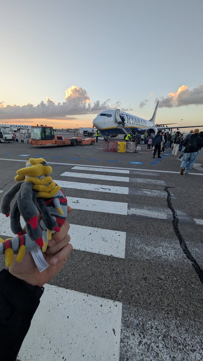 Angelo Falchi tweet media