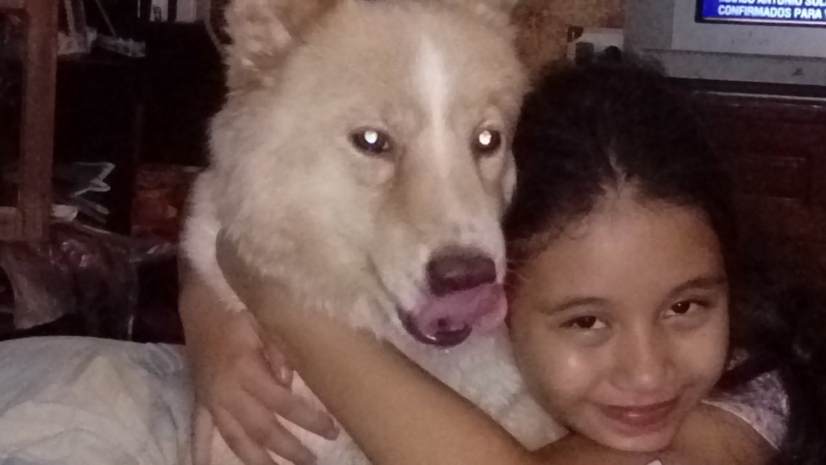 dariannn tweet media