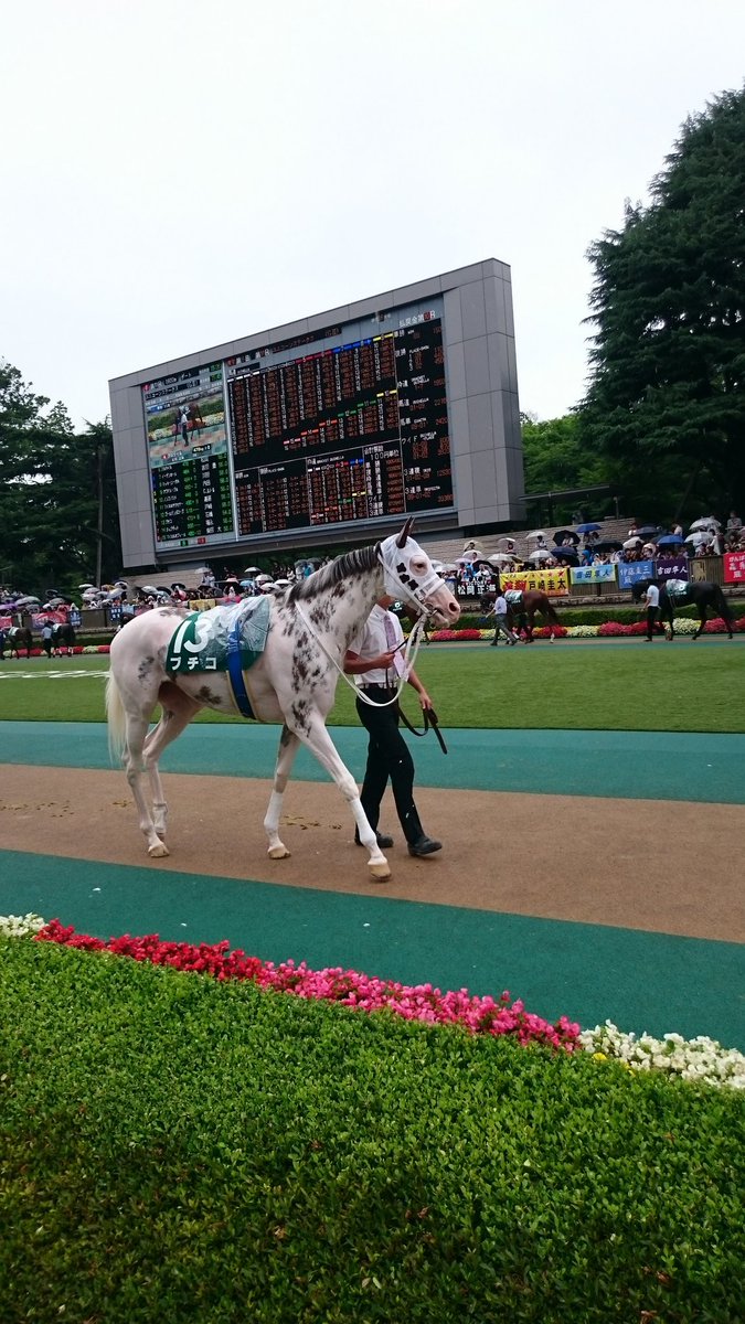 ひまりんごページ 駒 on X