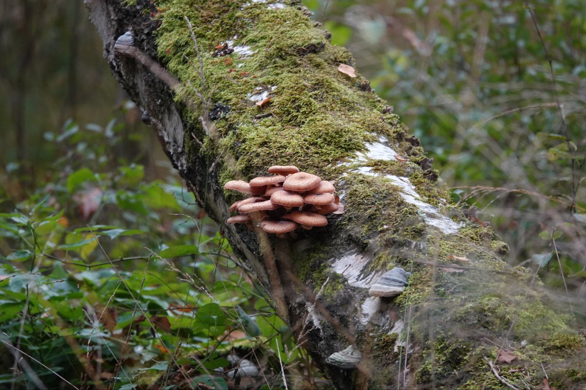 Goedemorgen. Fijn vrijdag.