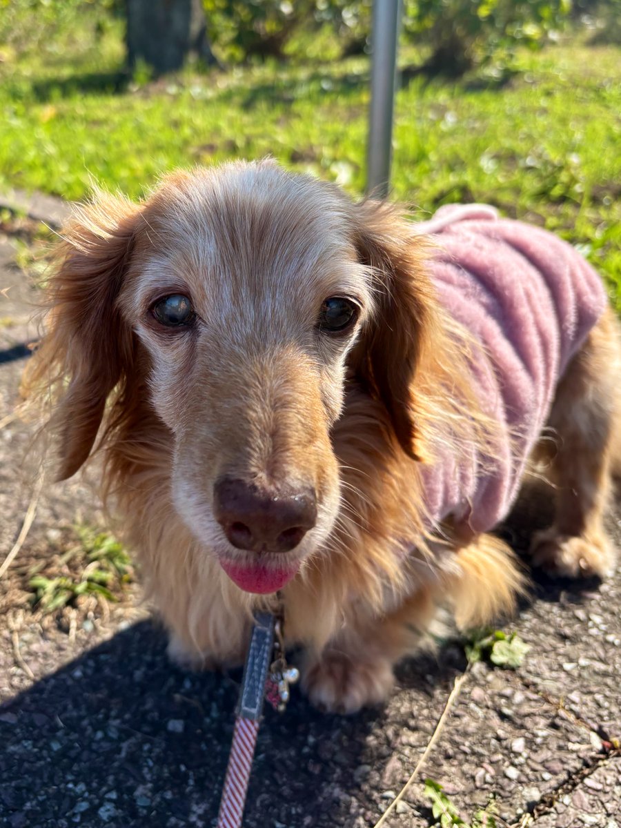 ゆきんこ🌸 (@Yukinko0520) / Posts / X