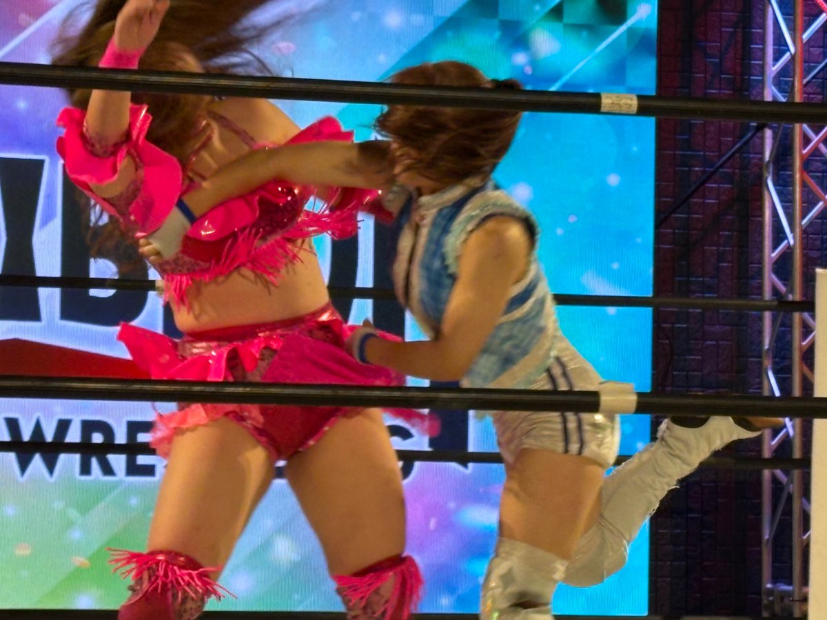 2025.10.18アイスリボン道場マッチ
若菜きらり選手のエルボー

#iceribbon #はっぴぃかめら