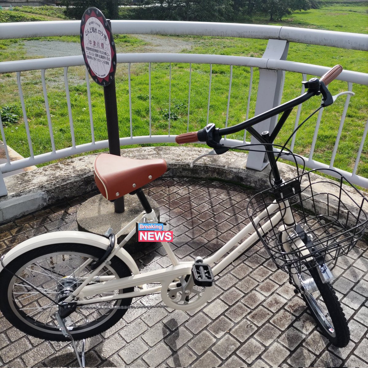 ponpon__'s tweet photo. おNew自転車🚲️(*´∀｀)なり♪
BRIDGESTONE GREEN LABEL
VEGAS 点灯虫搭載３段 (*´艸｀*)

小径のナローフレームとゆったりした乗り心地♪毎日のちょっとそこまでを気軽にする“ベガス”🪽♪
20インチでもひと漕ぎでよく進む、使いやすい1台♪
暗さ感知し自動点灯オートライト♪

お勧め(*μ_μ)のまき♪ https://t.co/2nGRNWF9N9
