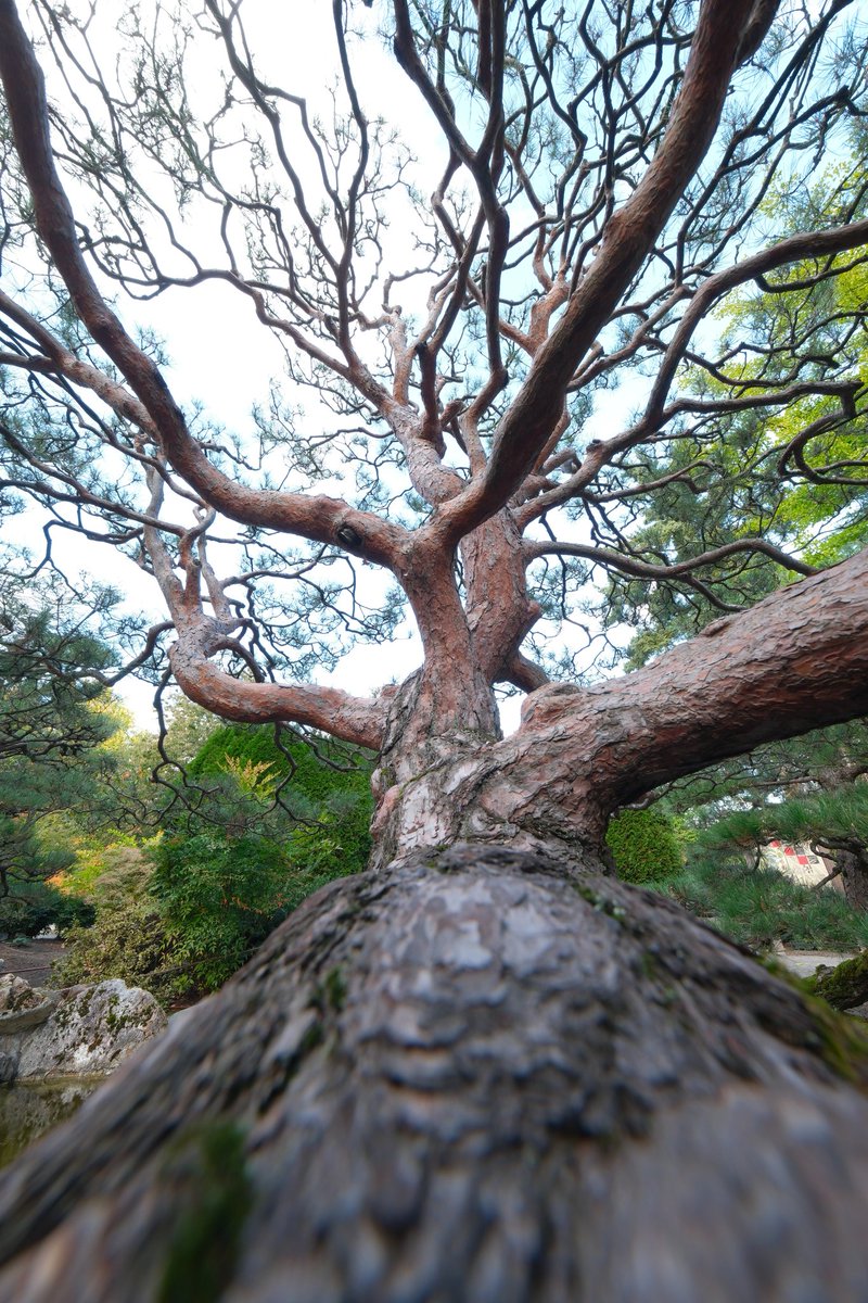 MixDB's tweet image. 