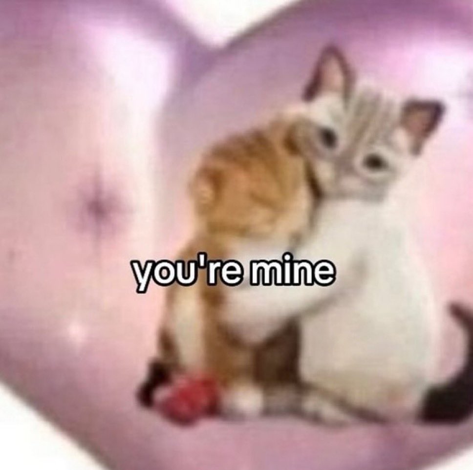 Miaw tweet media