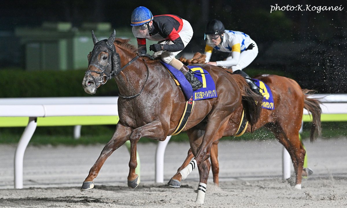 シリウスシンボリ G1 ALLSTAR'S シリウスシンボリ G1 ALLSTAR'S シリウスシンボリ G1 ALLSTAR'S 1985