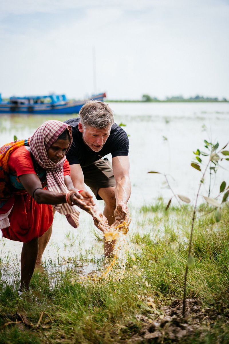UNDP India tweet media