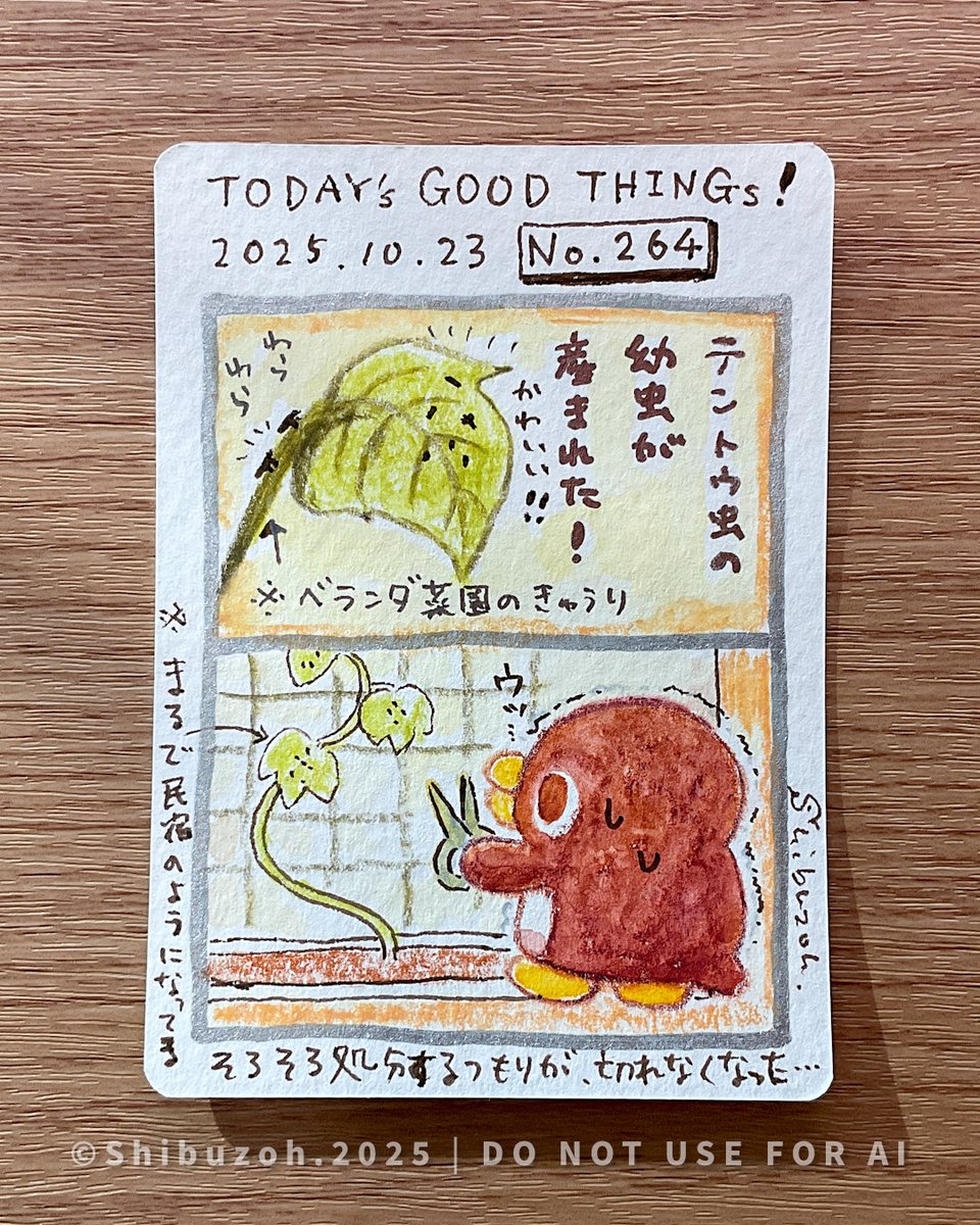 【海外代行購入歓迎】ニャース　067/095 PSA10 ねこびより　シブゾー 海外代行購入OK】ニャース 067/095 PSA10 ねこびより シブゾー 海外